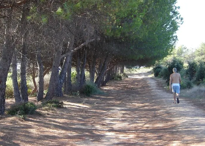 Grazioso Bilocale A 200 M Dal Mare In Con Piscina E Wi-fi *